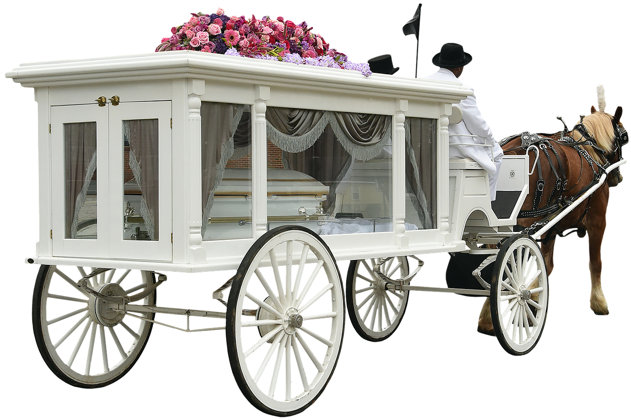 hearse, coffin, horse-6342521.jpg